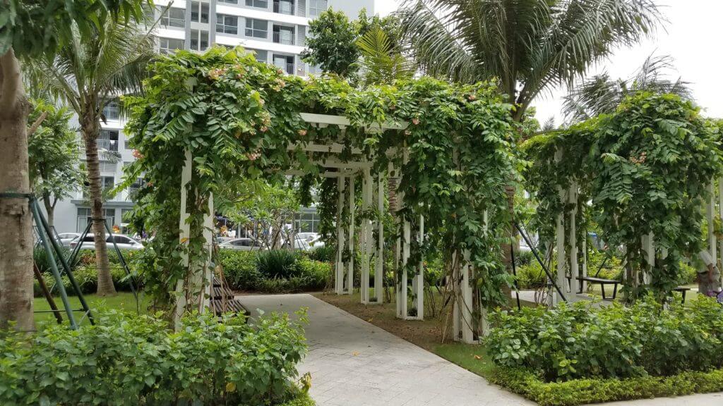 Vườn cây Park 1 thực tế